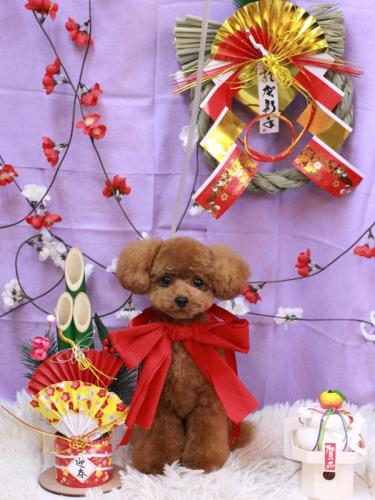 20230120Lunaちゃん